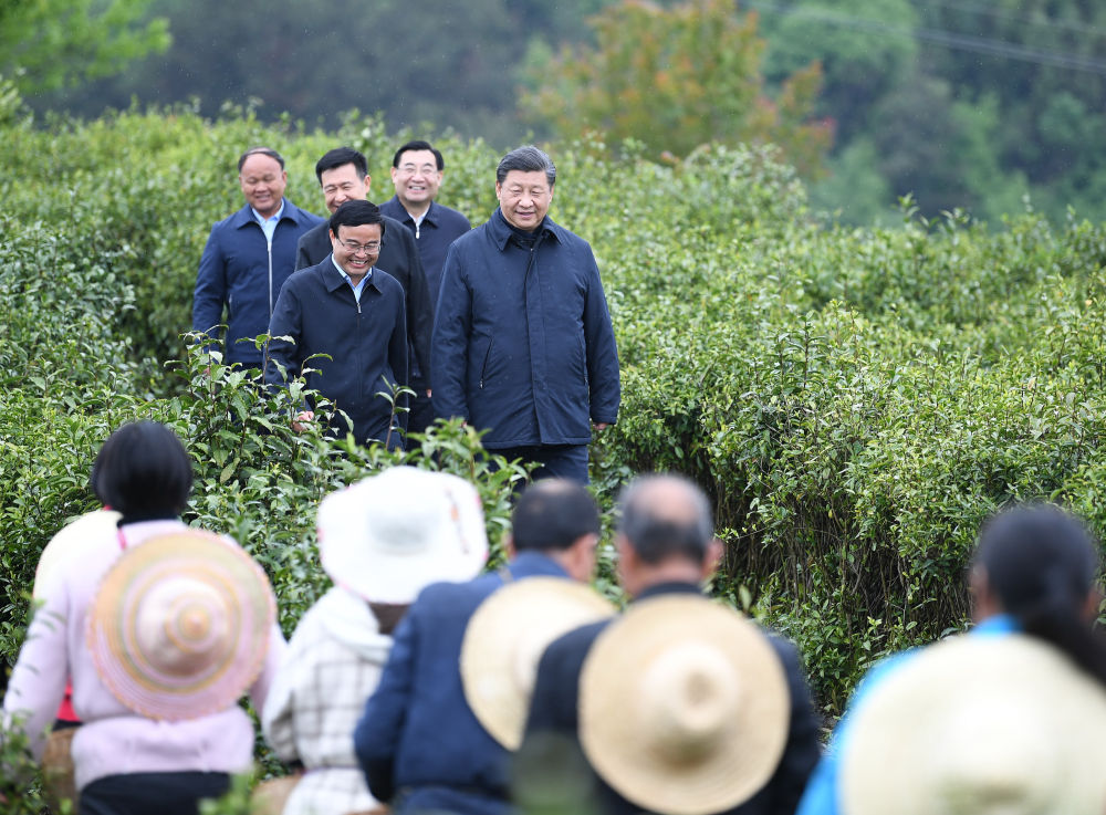 2020年4月21日，習(xí)近平來(lái)到陜西省安康市平利縣老縣鎮(zhèn)，在茶園考察脫貧攻堅(jiān)情況。新華社記者 燕雁 攝